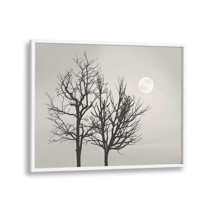 BRIGHT MOON LIGHT , LANDSCAPE PAINTINGS