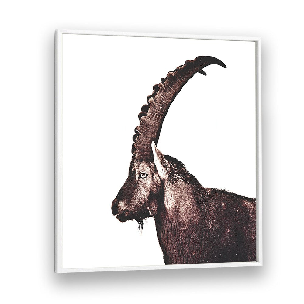 Majestic Capricorn in Snow, Animal Paintings, showcasing beauty and serenity in wildlife decor. Perfect for nature lovers.