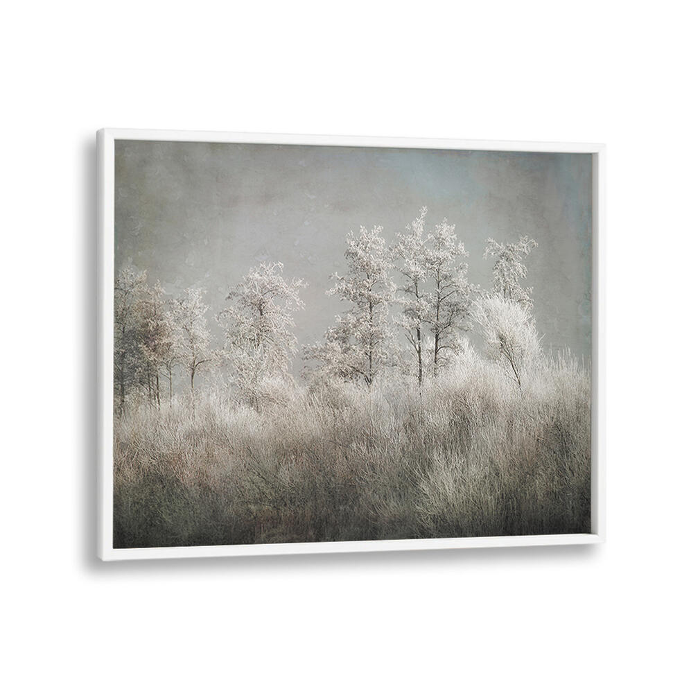 COLD MORNING , FLORAL FLOWER PAINTINGS