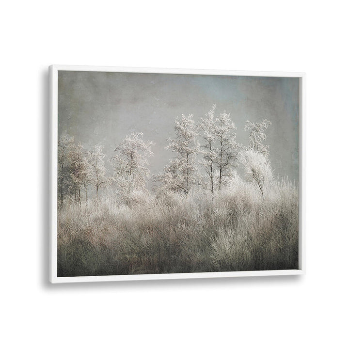 COLD MORNING , FLORAL FLOWER PAINTINGS