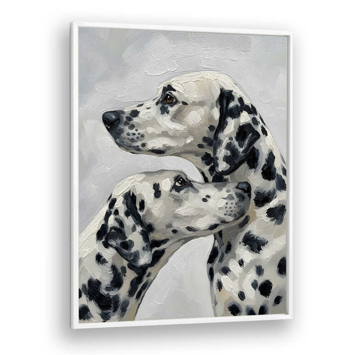 DALMATION DOG