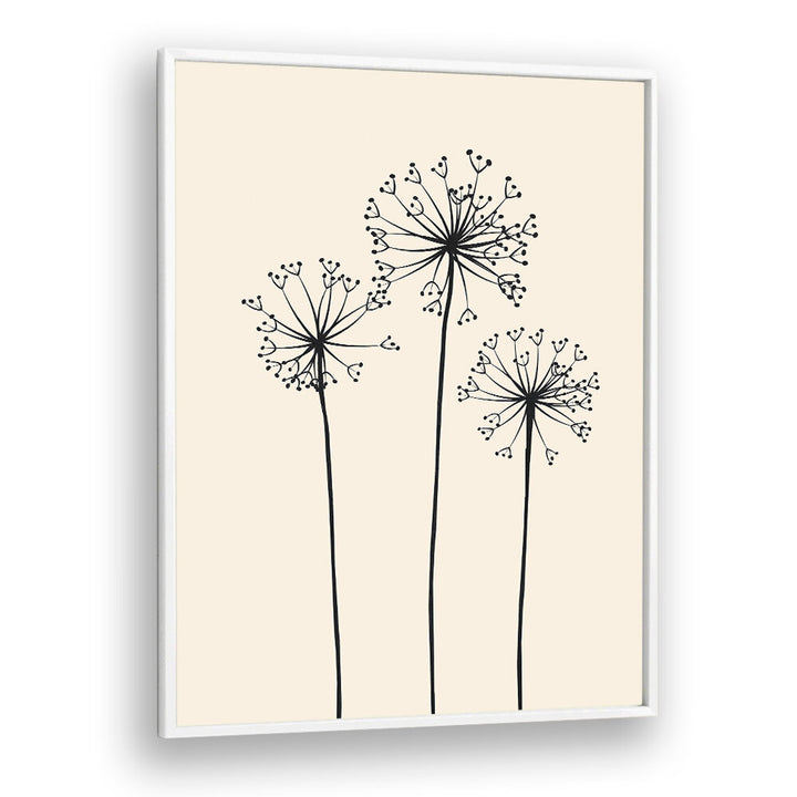DANDELIONS V