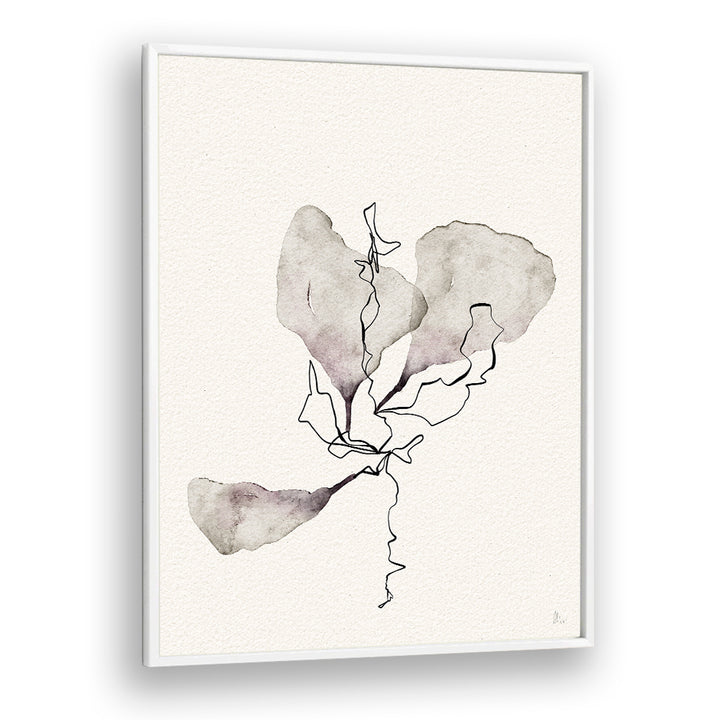 DELICATE BOTANICAL STUDY
