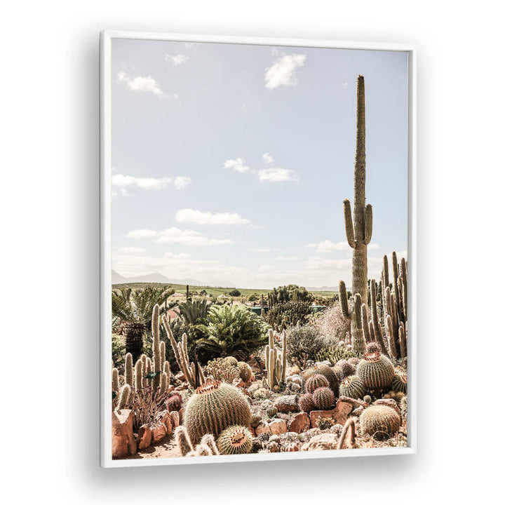 DESERT SYMPHONY , COWBOY desert cactus art print by Modern Americana featuring tall saguaro and barrel cacti