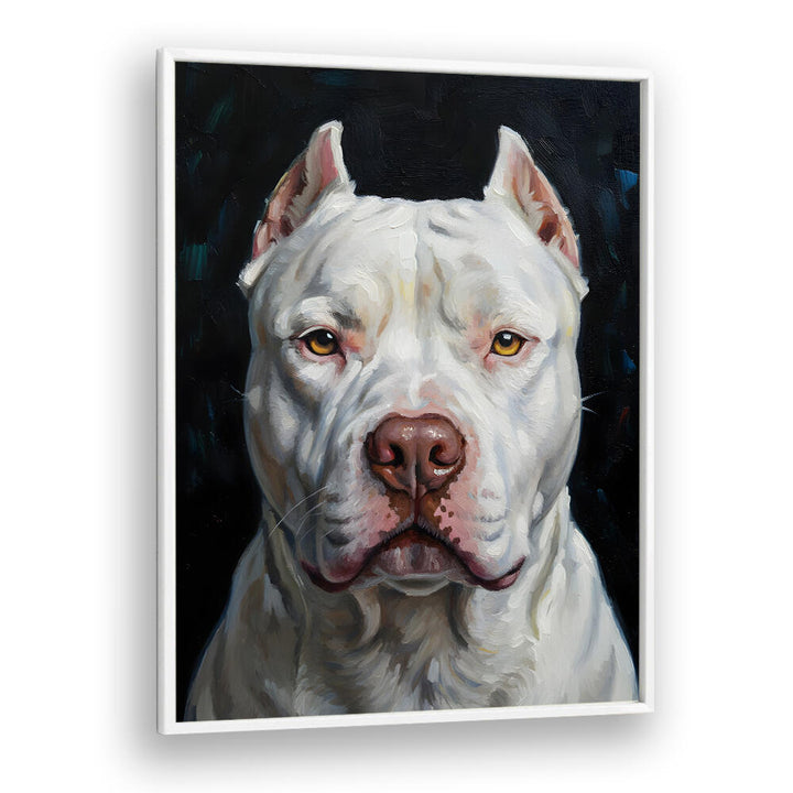 DOGO ARGENTINO