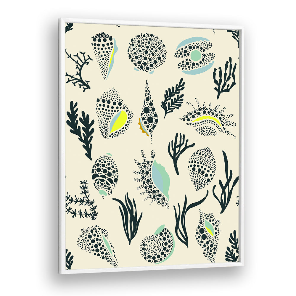 DOTTED OCEAN SHELLS