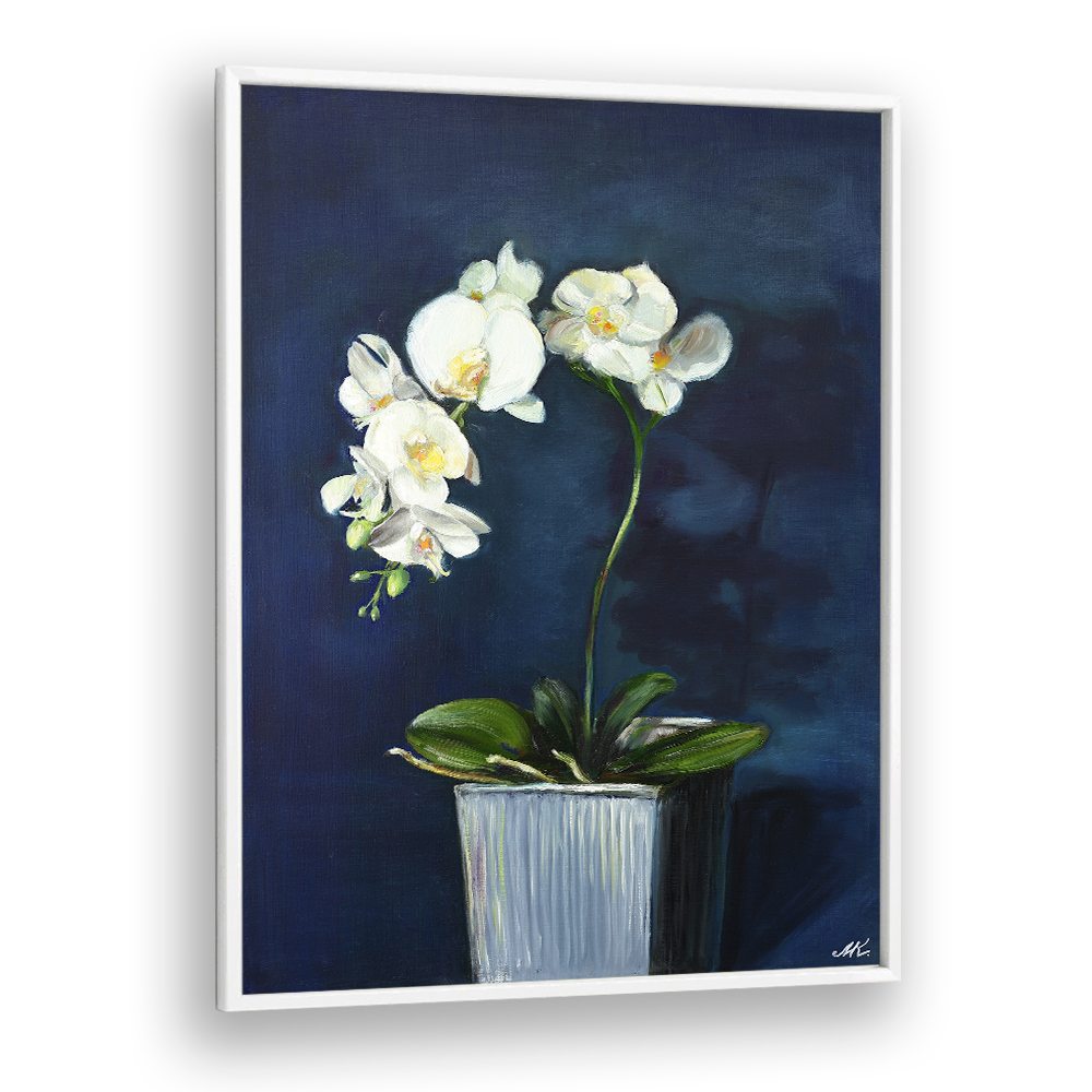 ELEGANT WHITE ORCHIDS