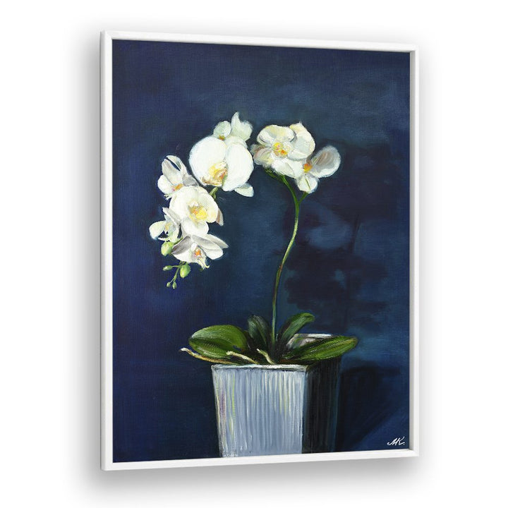 ELEGANT WHITE ORCHIDS