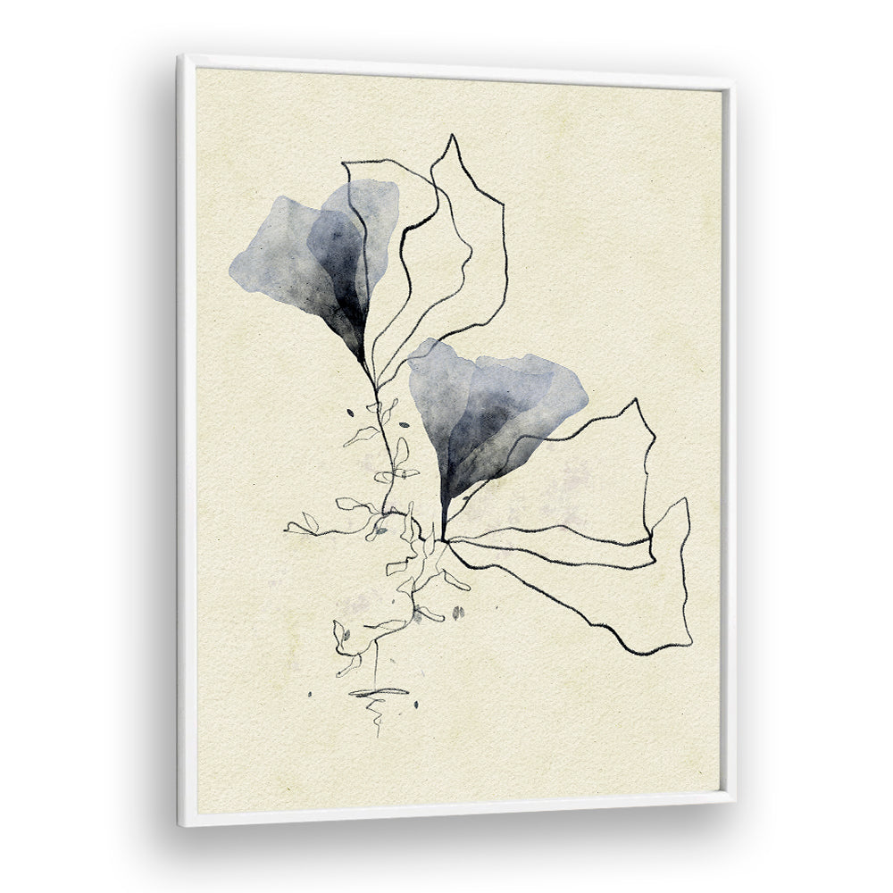 ETHEREAL MARINE BOTANICALS