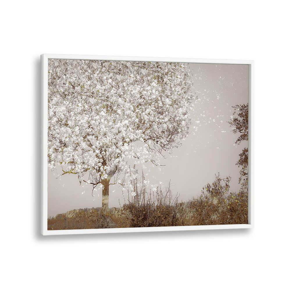 FRUIT TREE , FLORAL FLOWER PAINTINGS