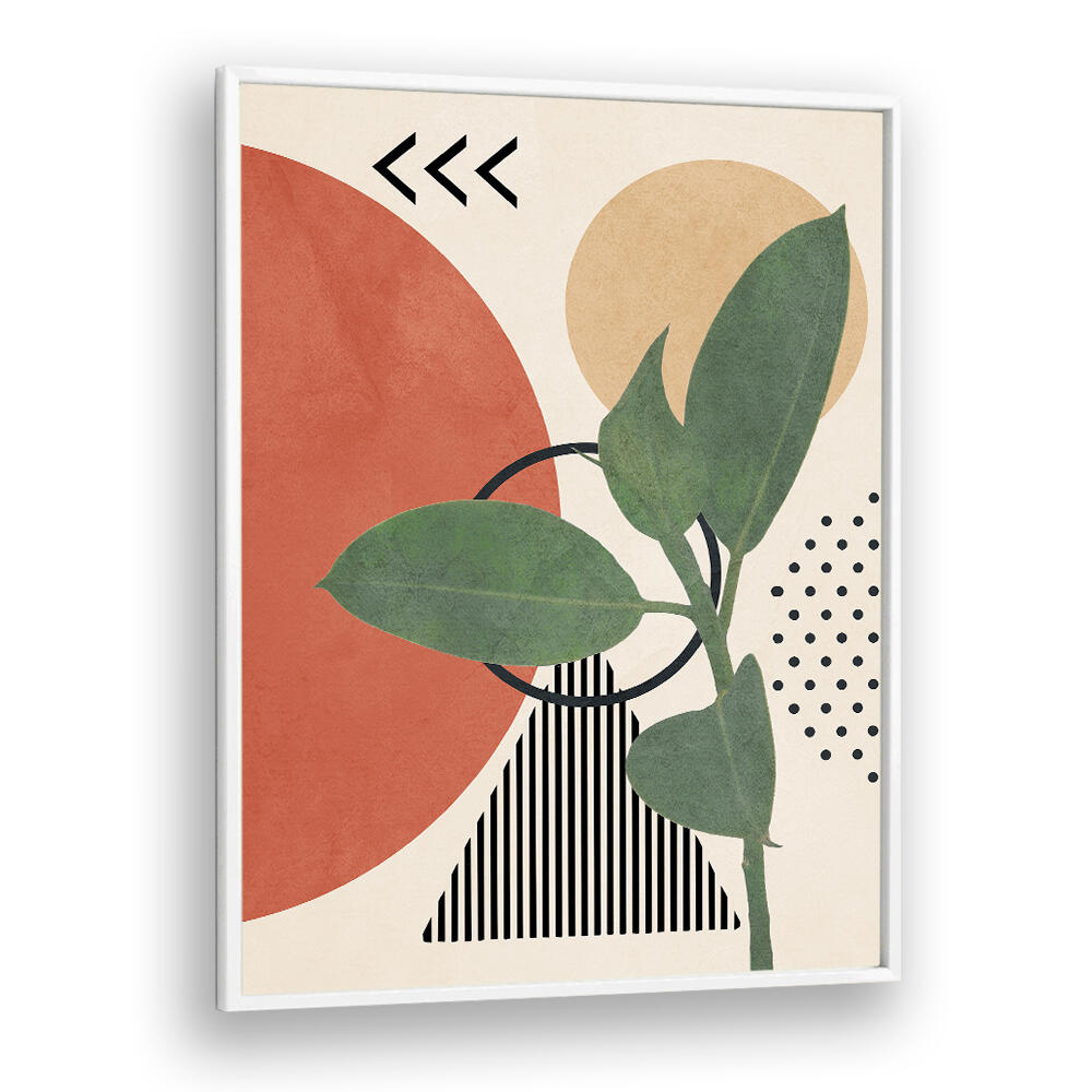 GEOMETRIC BOTANY