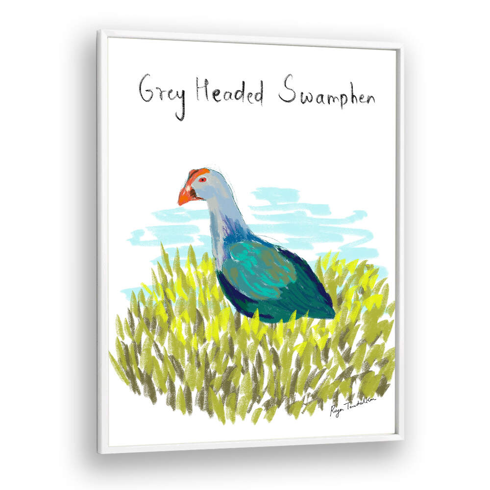 GREY HEADED SWAMPHEN