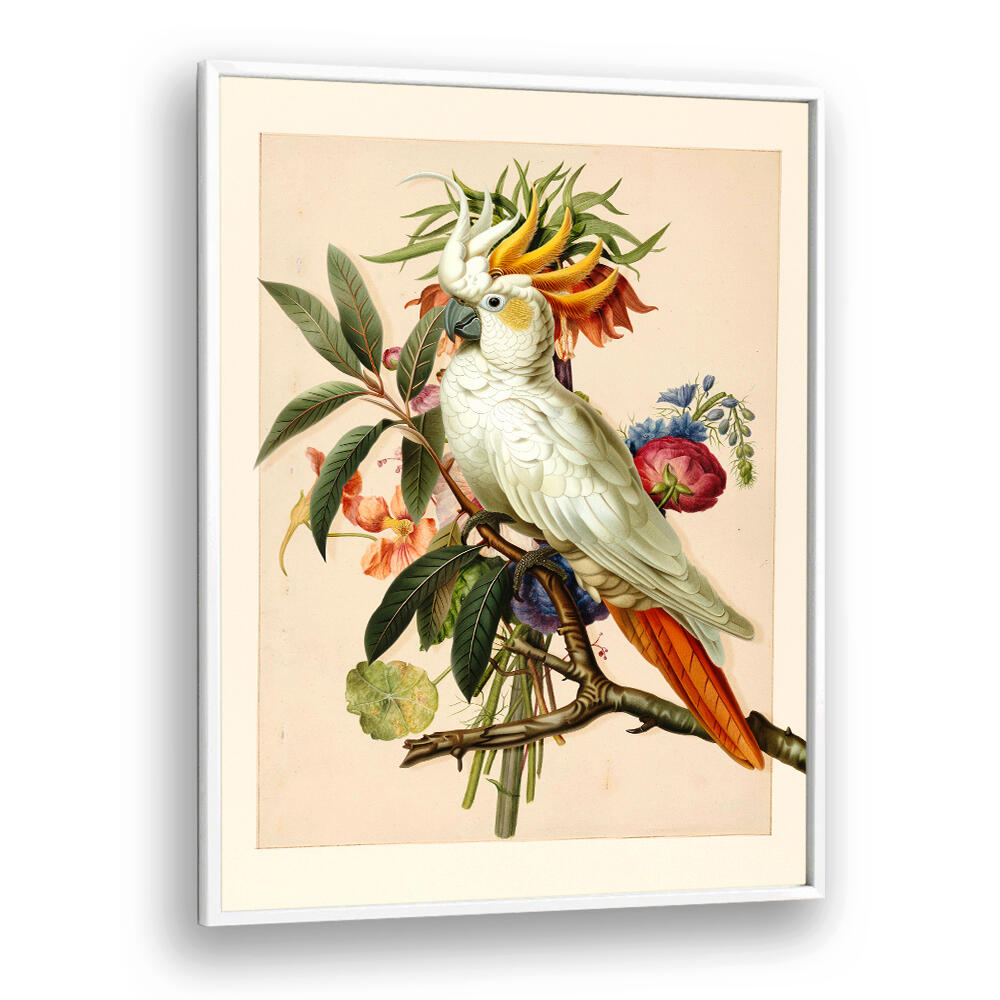 HENRIËTTA’S BIRD