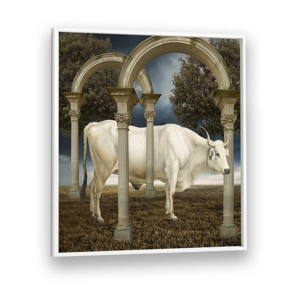 ILLUSIONNISME DE LA VACHE