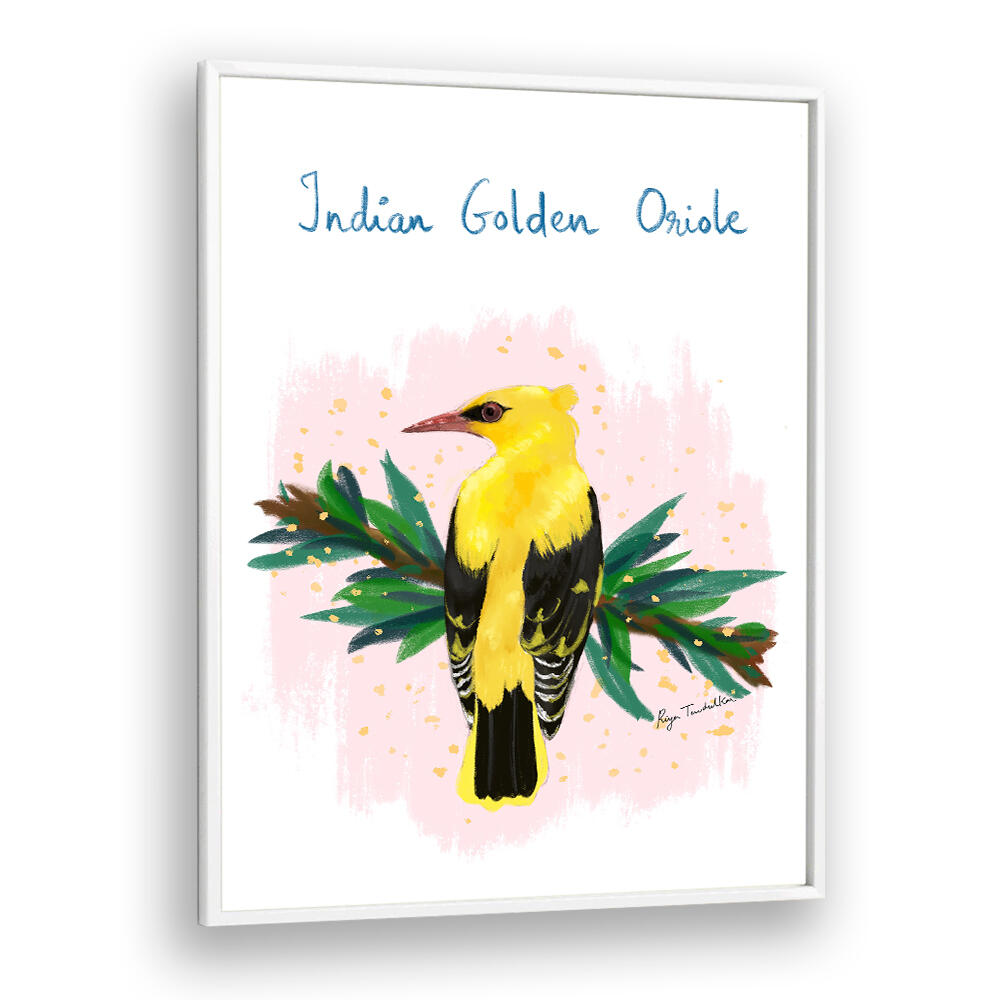 INDIAN GOLDEN ORIOLE