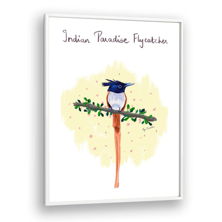 INDIAN PARADISE FLYCATCHER