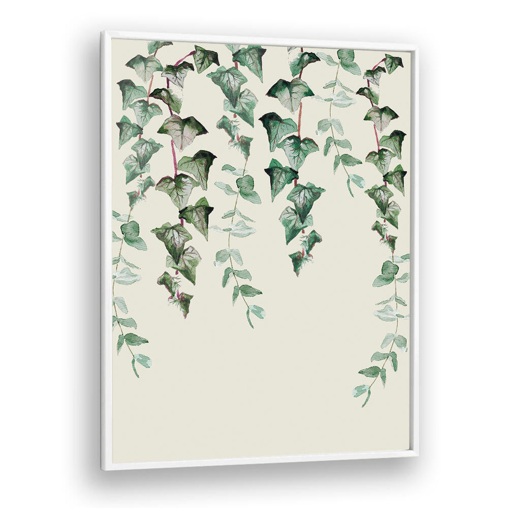 IVY Y EUCALYPTUS