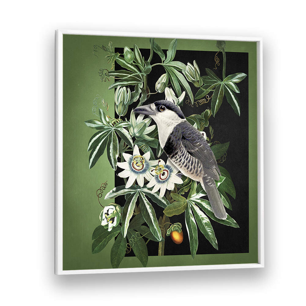 L'OISEAU ET LA PASSIFLORE