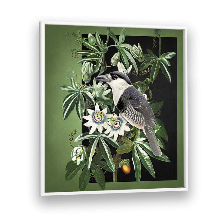 L'OISEAU ET LA PASSIFLORE