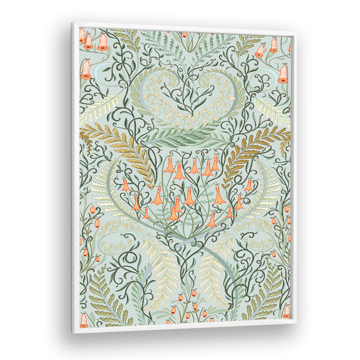 ORANGE BELLFLOWER FERNS
