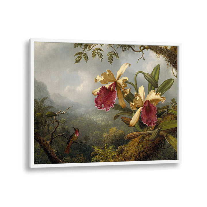 ORCHIDS AND HUMMINGBIRD , FLORAL FLOWER PAINTINGS
