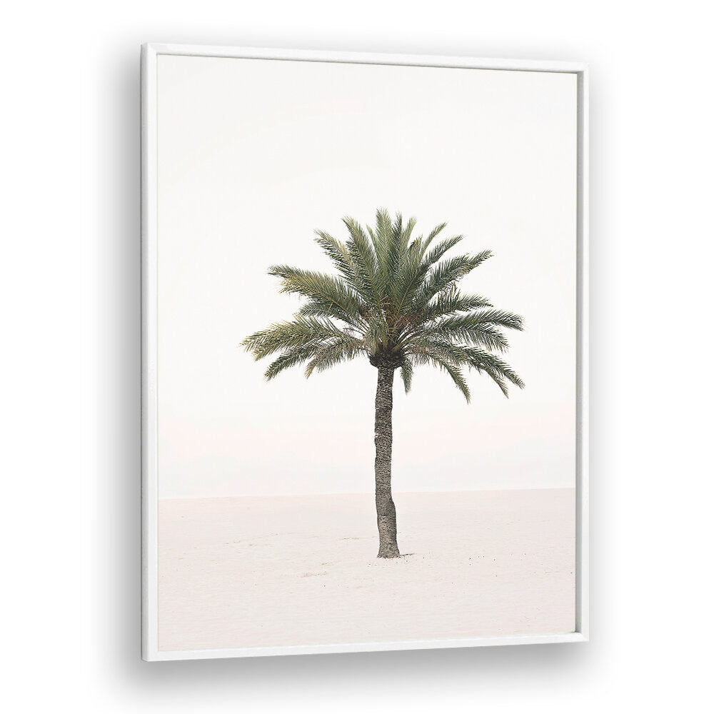 PALM II , BEACH PAINTINGS