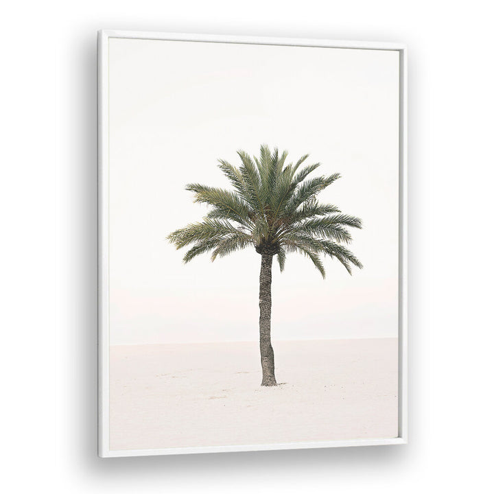 PALM II , BEACH PAINTINGS
