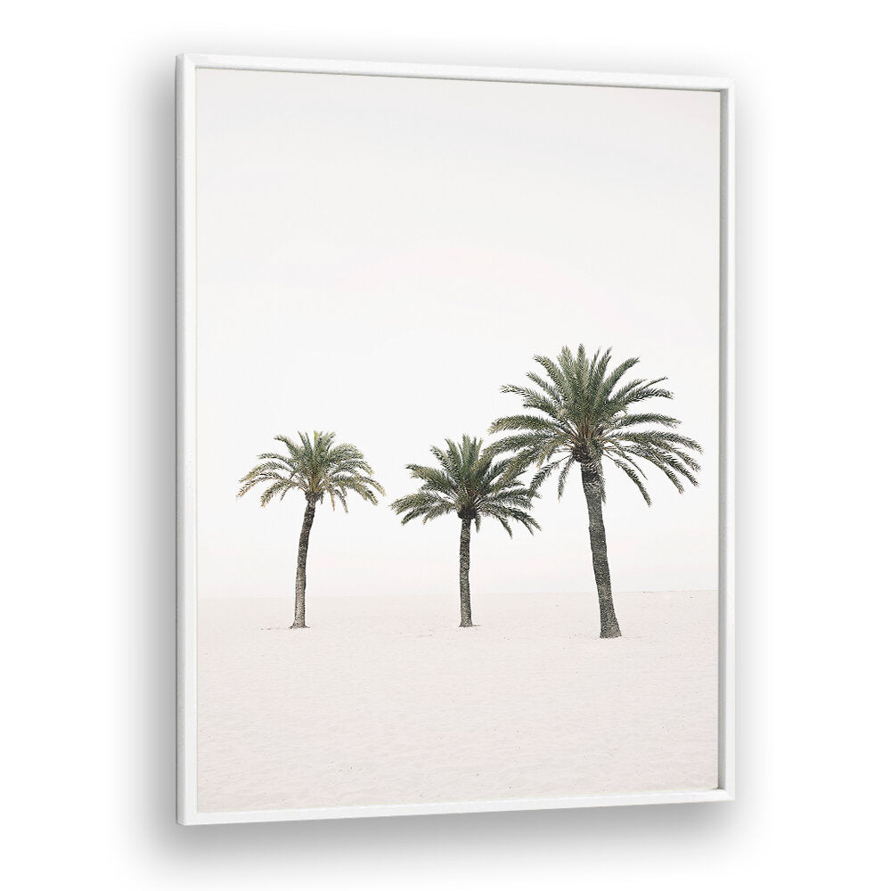 PALMS , BEACH PAINTINGS