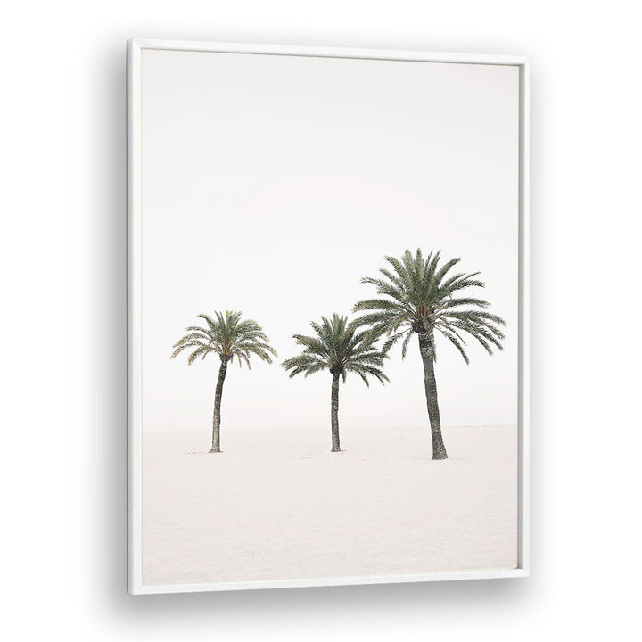 PALMS , BEACH PAINTINGS