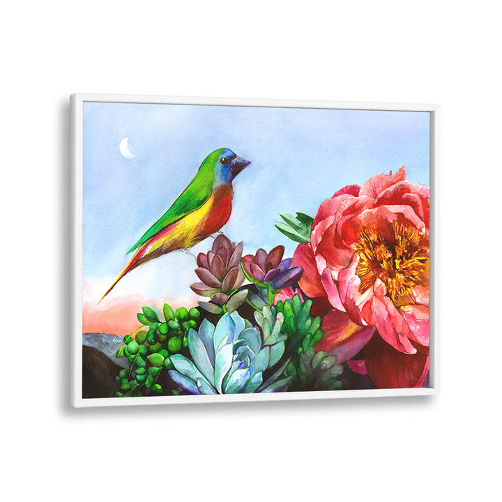 PARROT FINCH , ANIMAL PAINTINGS