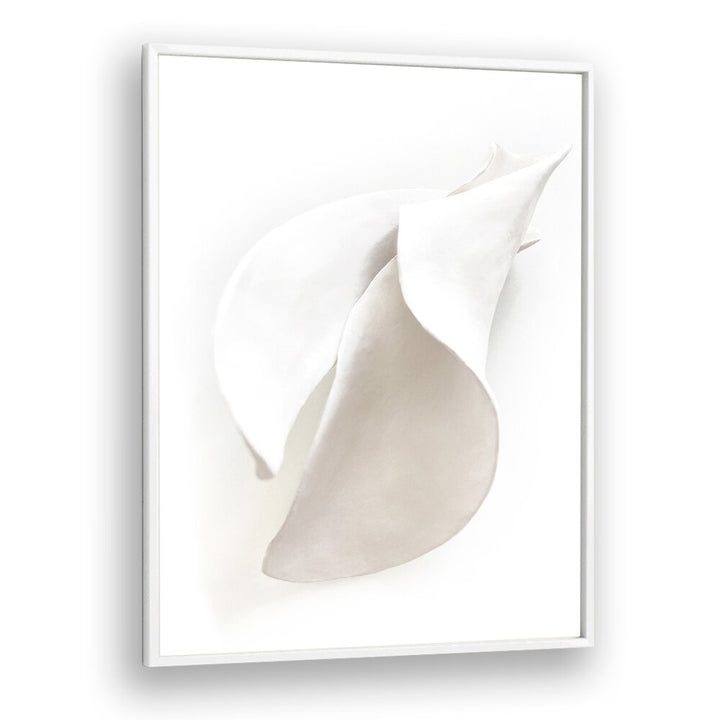 PETAL'S SILENCE , ORGANIC FORMS