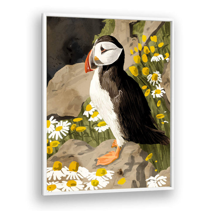 PUFFIN , ANIMAL PAINTINGS