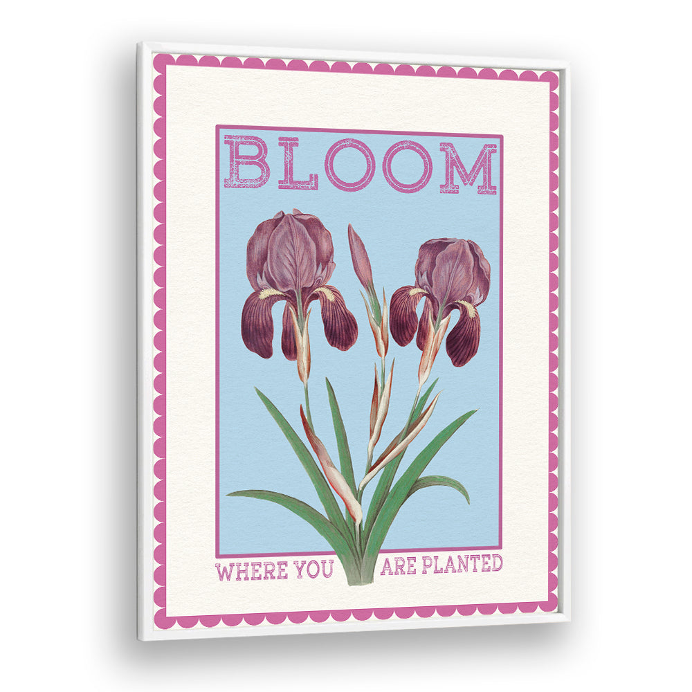 PURPLE IRISES BLOOM QUOTE