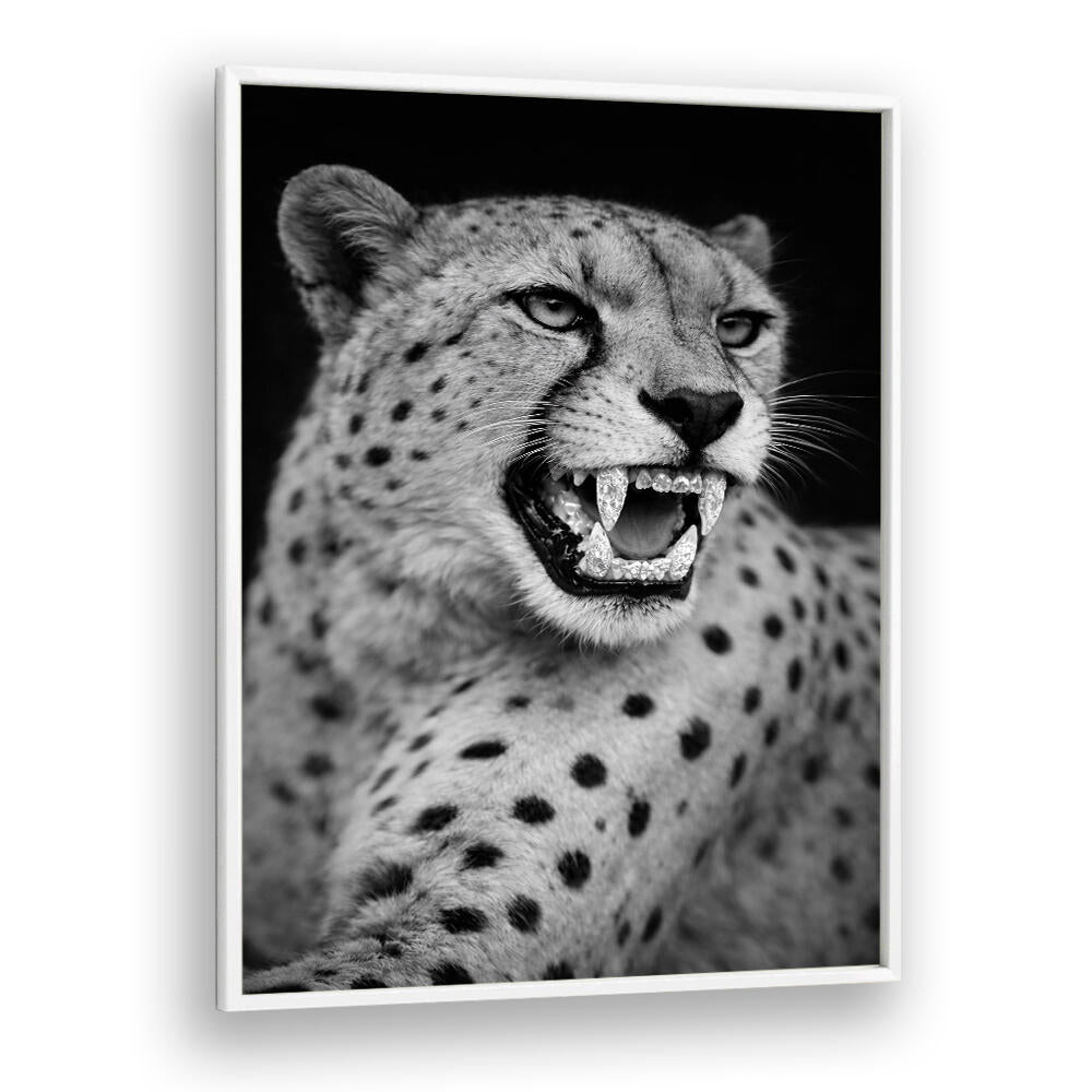 ROARING PREDATOR