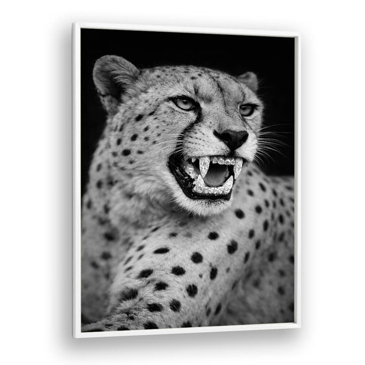 ROARING PREDATOR