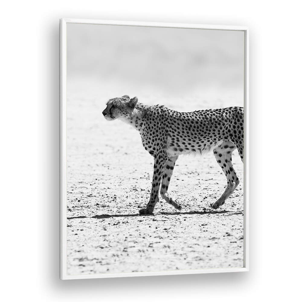 SILENT PURSUIT , ANIMAL PAINTINGS — WHITEPLAINS framed black-and-white cheetah walking across sunlit desert