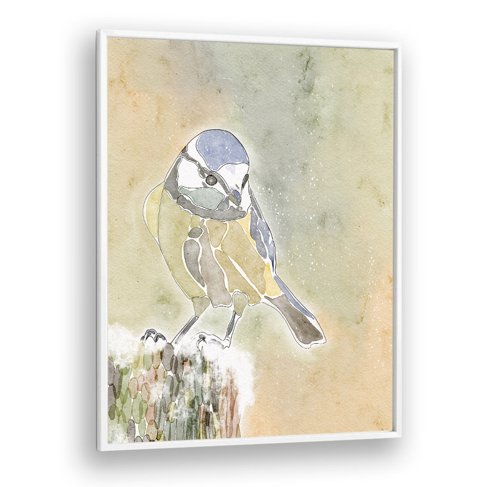 SNOWY BLUE TIT