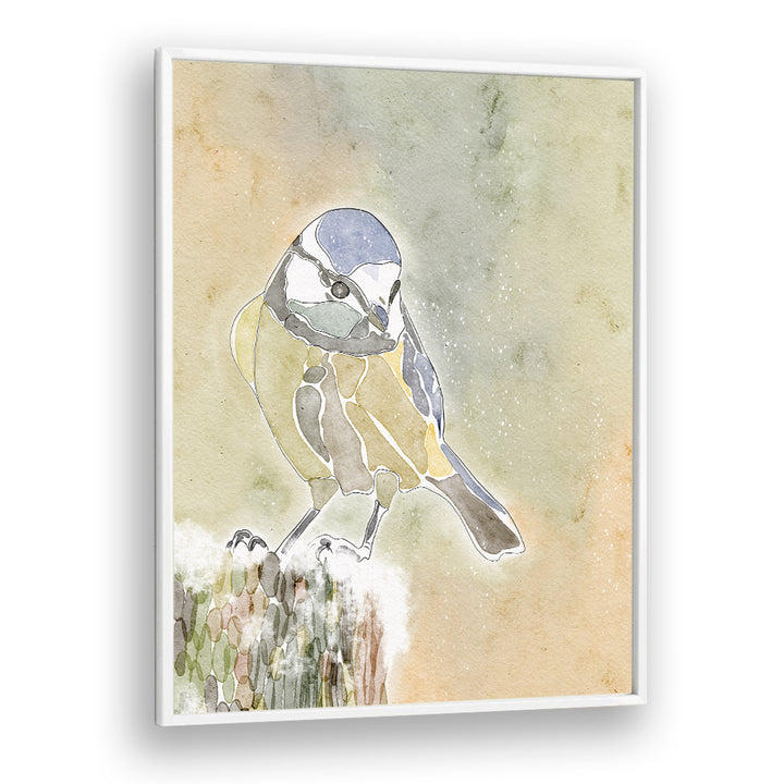 SNOWY BLUE TIT