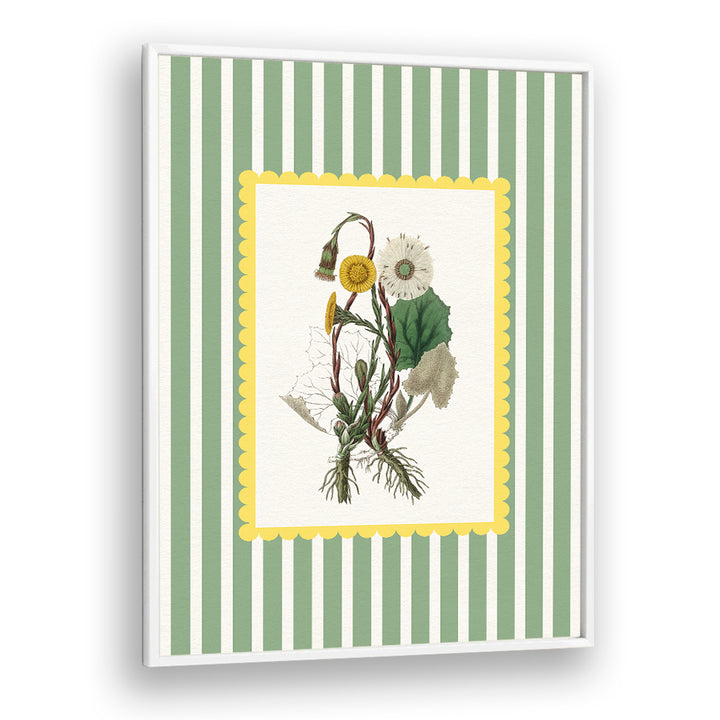 SPRING DANDELION STUDY