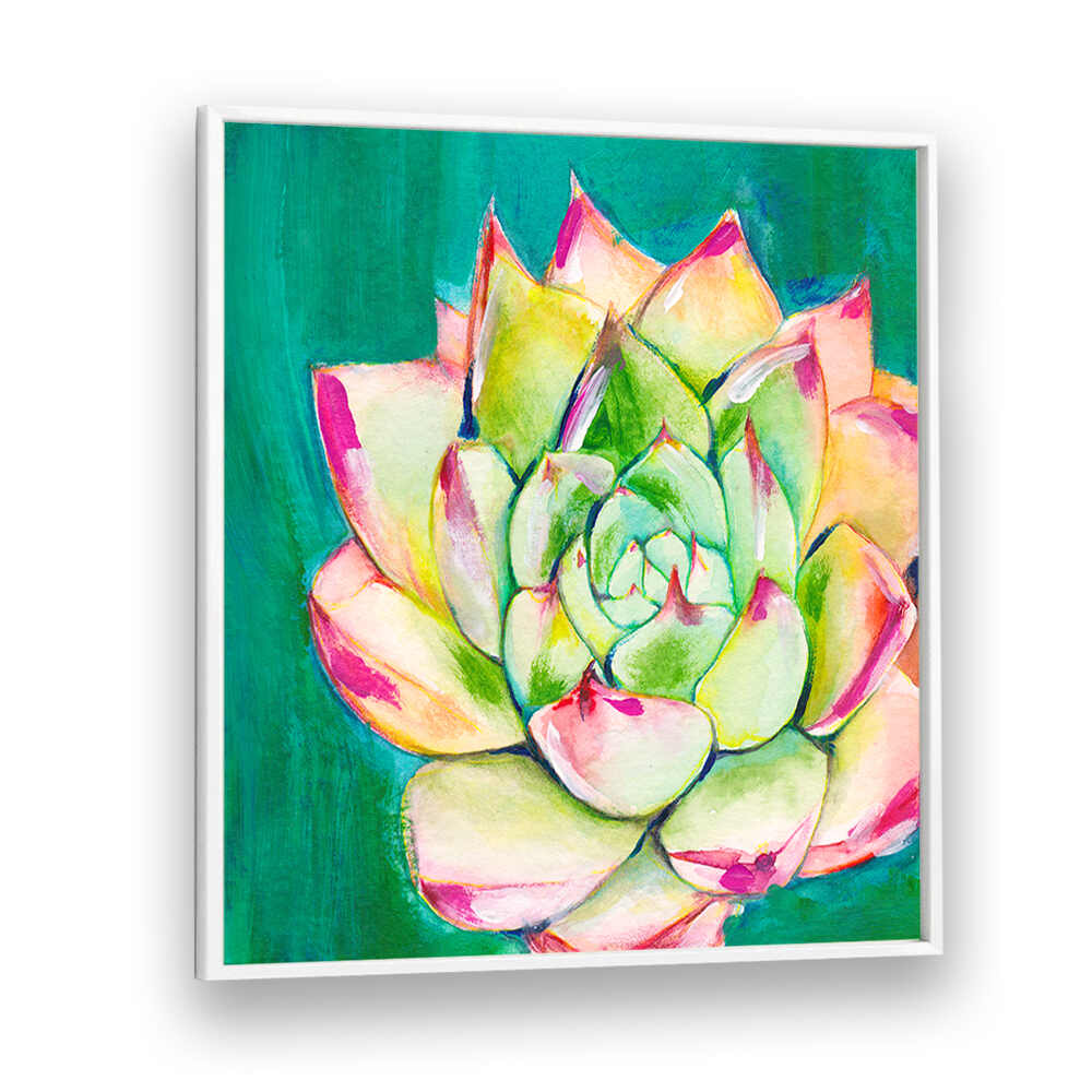 SUCCULENT I LARGE , FLORAL FLOWER PAINTINGS