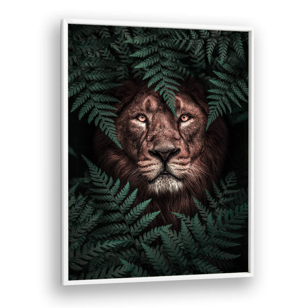 THE LION KING , ANIMAL PAINTINGS