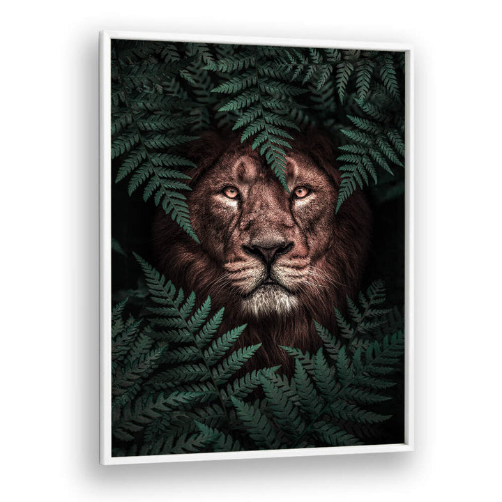 THE LION KING , ANIMAL PAINTINGS