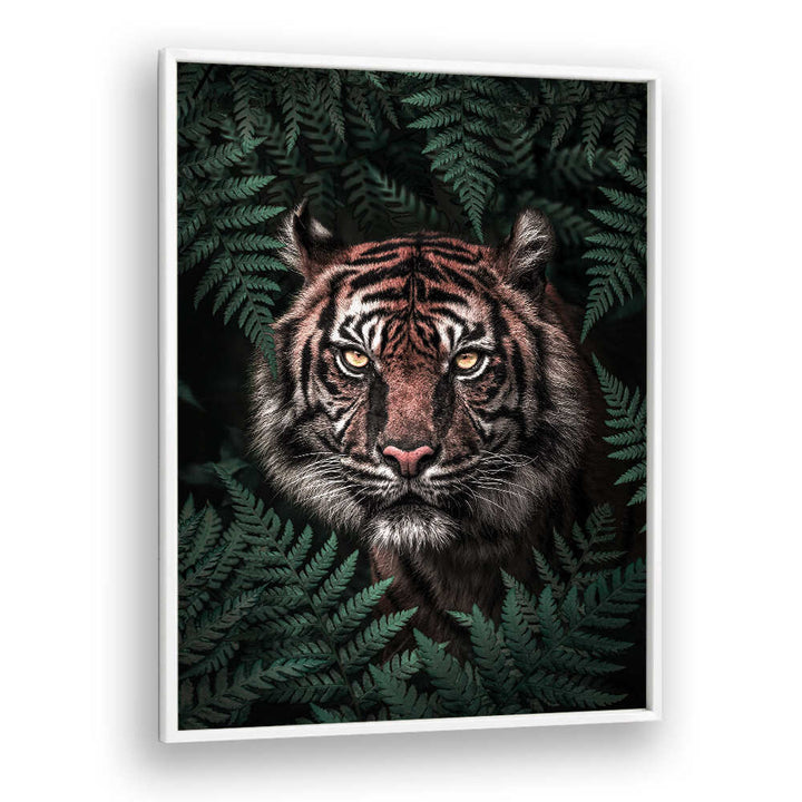 TIGER , ANIMAL PAINTINGS
