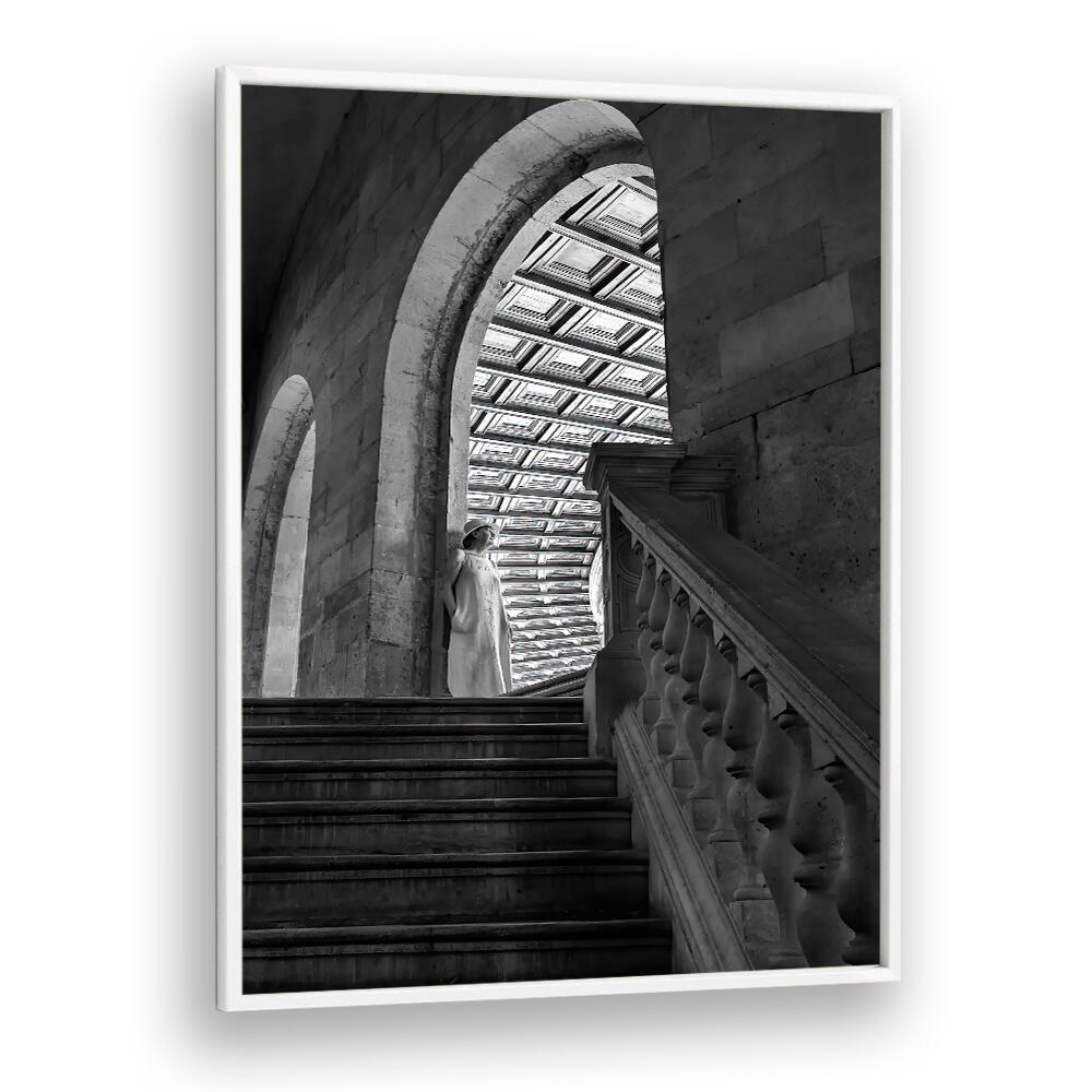 TIMELESS ARCHES