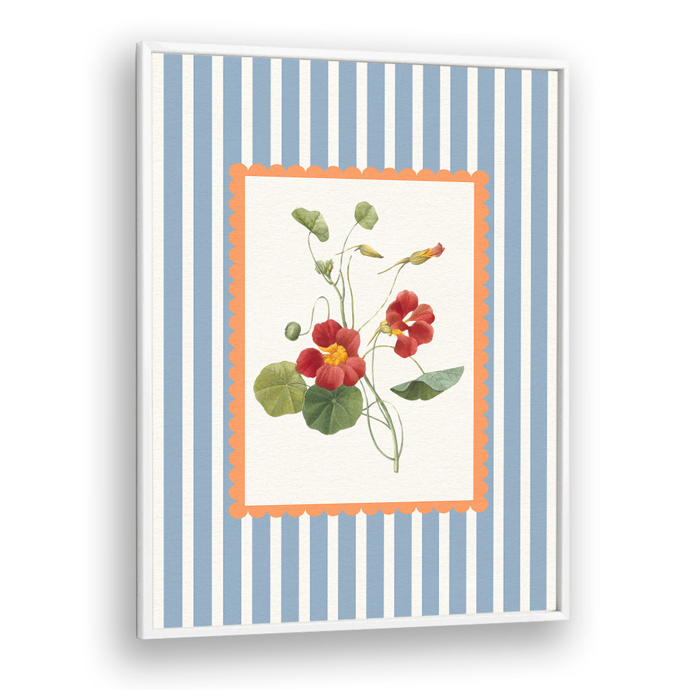 VINTAGE NASTURTIUM BLOOM