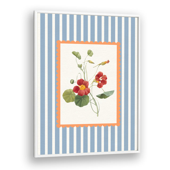 VINTAGE NASTURTIUM BLOOM