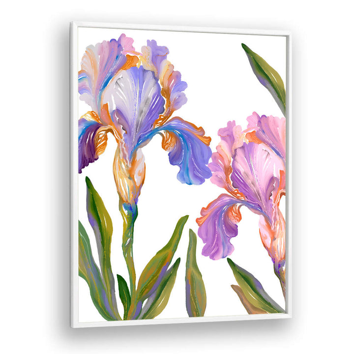 WATERCOLOR IRIS , FLORAL FLOWER PAINTINGS