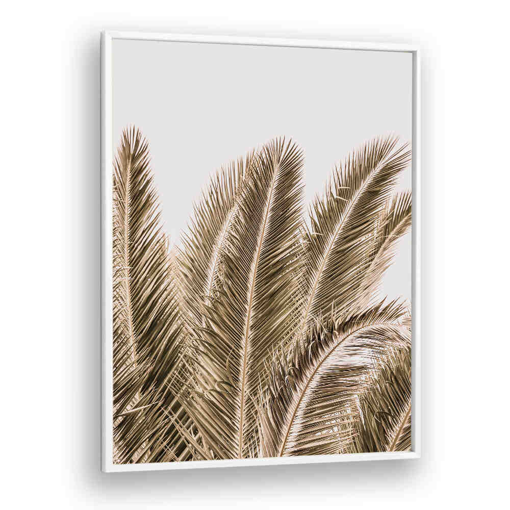WINDSWEPT PALMS , BEACH PAINTINGS framed neutral palm frond art print for coastal decor