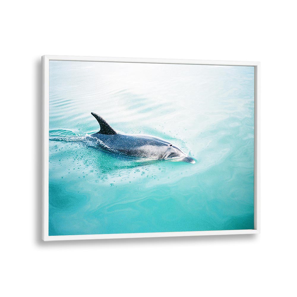 DOLPHIN N.Z. NORTHERN BY RAISA ZWART , LANDSCAPE PHOTO PRINTS