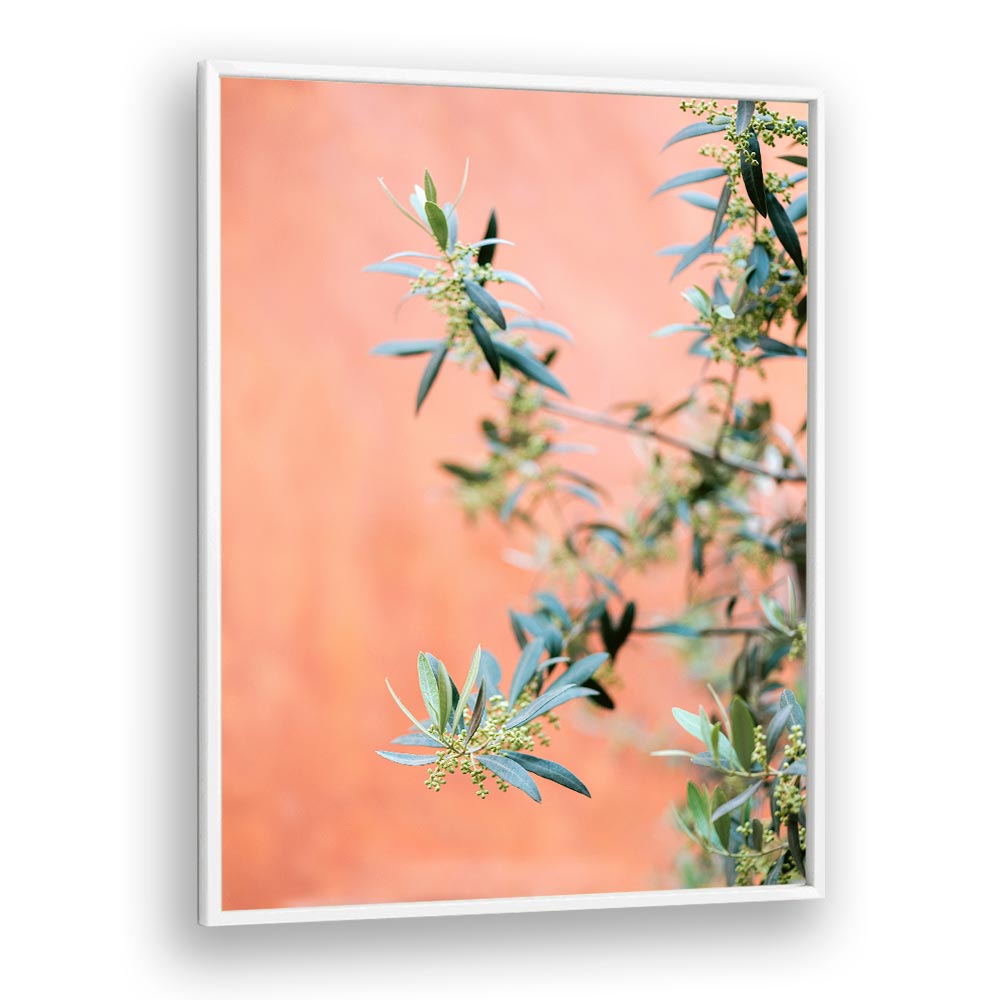 GREEN AND CORAL , PHOTOGRAPHY PRINTS